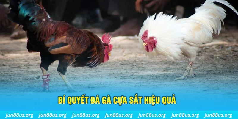 sao789 xổ số miền bắc thứ ba hàng tuần