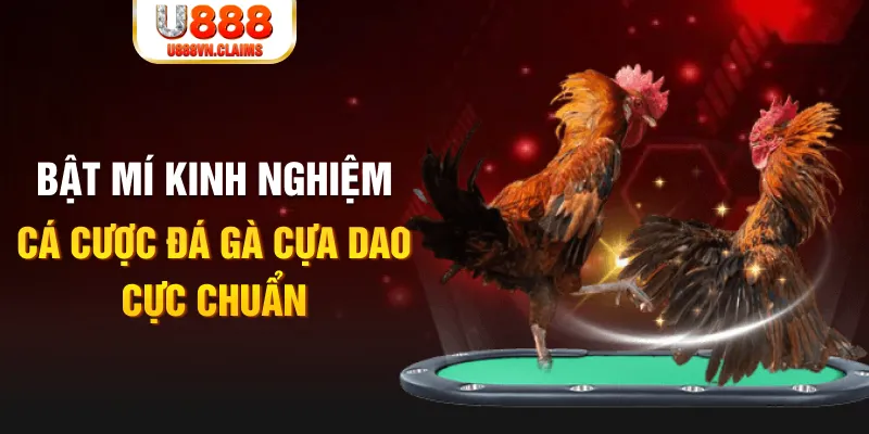 sao789 casino hồ tràm có cho người việt vào không