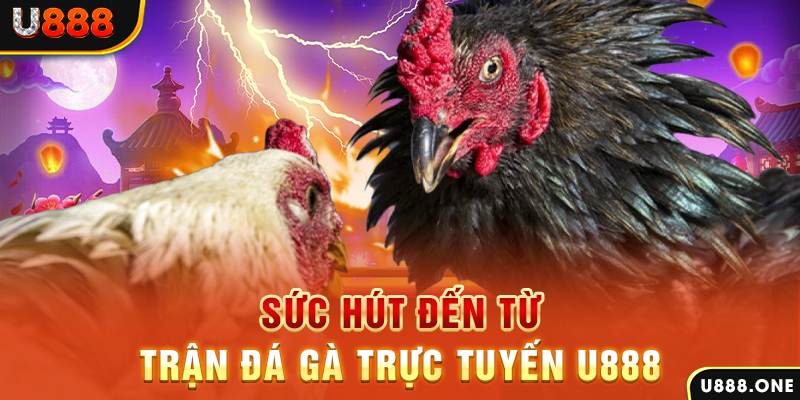 sao789 đăng nhập poker 2024