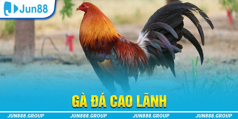 sao789 tai game vua bai ve may tinh