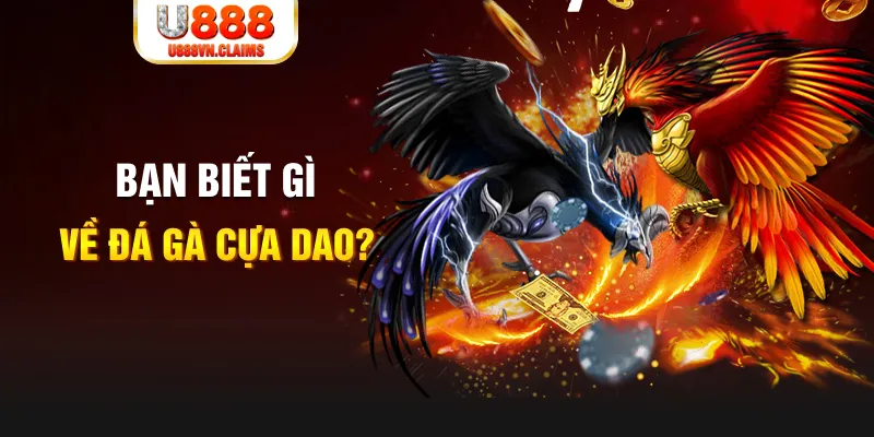 sao789 xo so mien bac