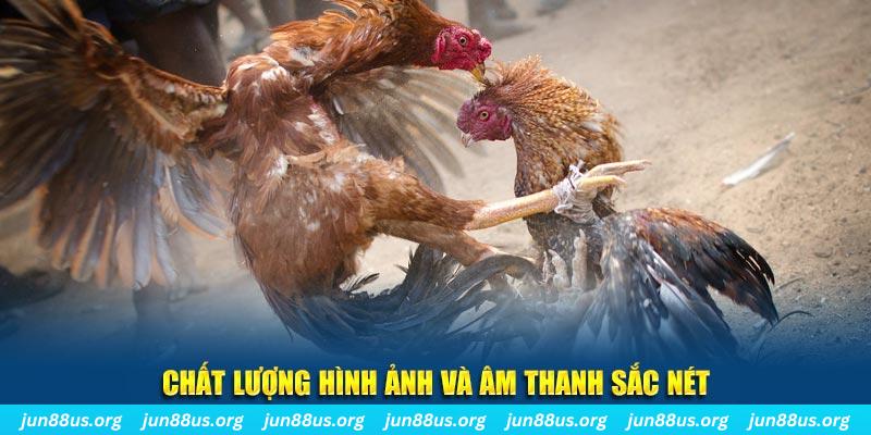 sao789 tai game danh bai mien phi ve may tinh