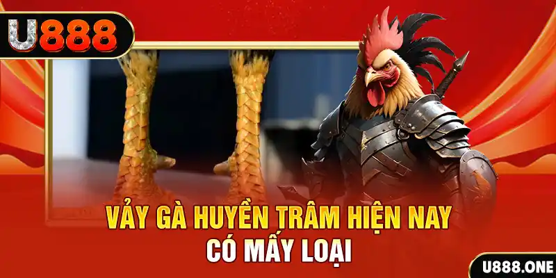 sao789 đăng nhập nổ hũ miễn phí
