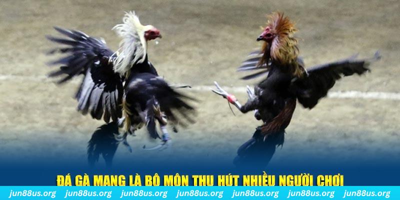sao789 đăng nhập sòng bạc số 1