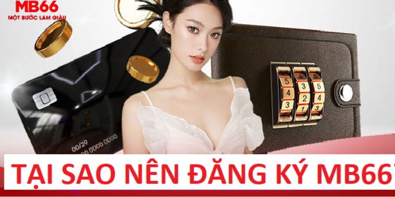 sao789 trực tiếp gà chọi c1