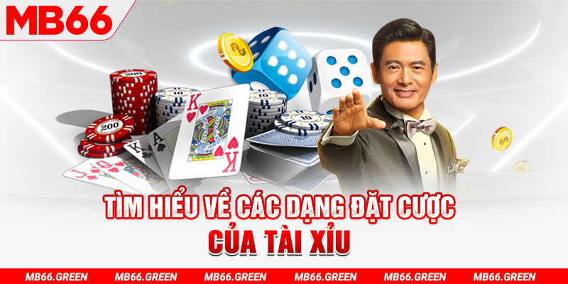 sao789 what is a casino loyalty program