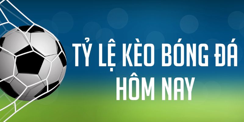 sao789 đăng nhập phỏm