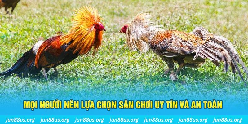 sao789 đăng nhập poker 2025