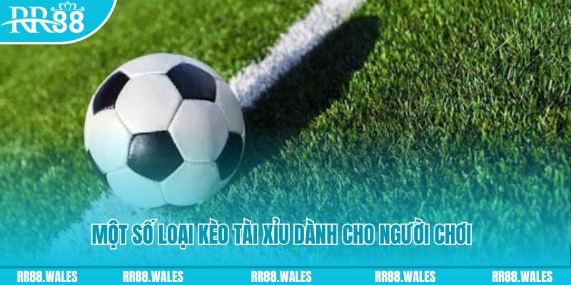 sao789 slot nghĩa là gì