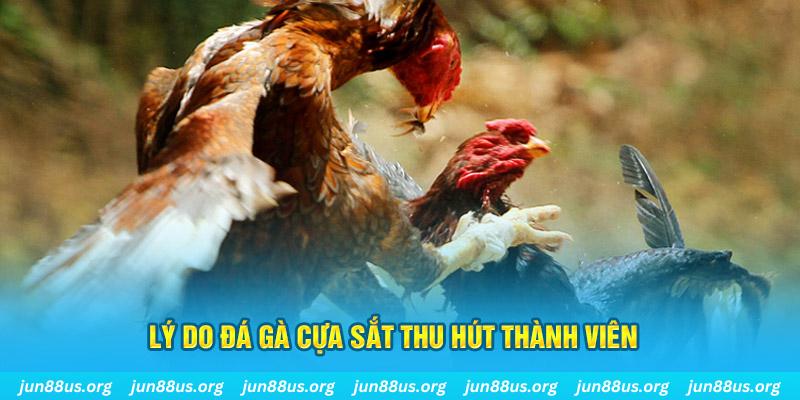 sao789 nổ hũ ăn bao nhiêu