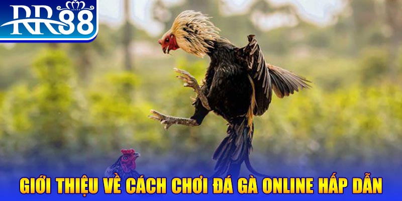 sao789 EvoPlay Điện Tử