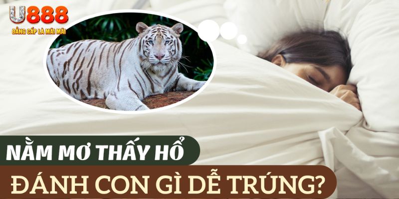 sao789 nohu .mx nổ hủ là gì