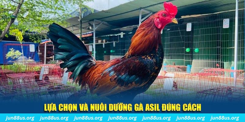 sao789 nổ hũ thần tài là gì