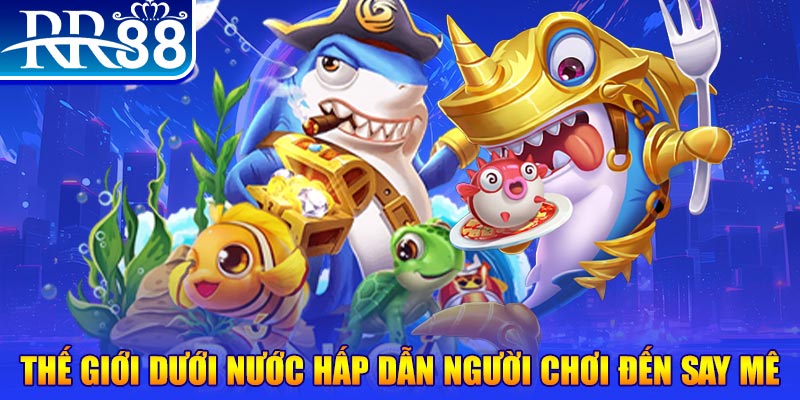 sao789 đăng nhập mậu binh dễ thắng