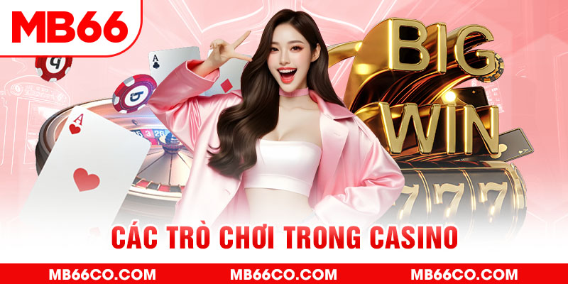 sao789 chổi lông gà