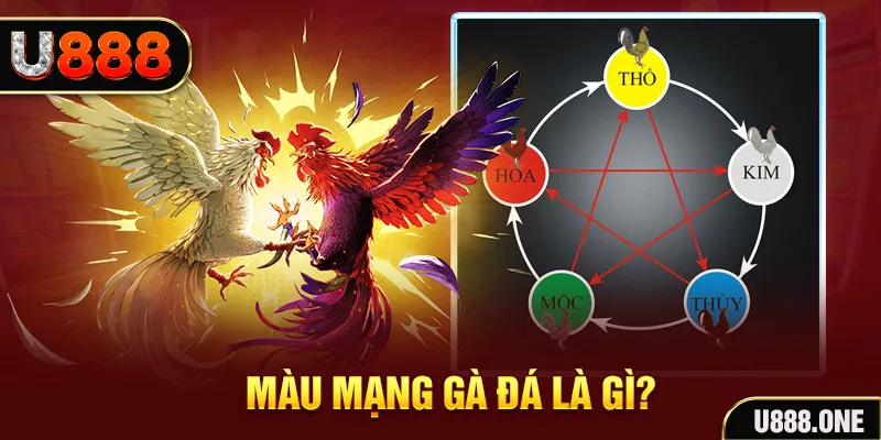 sao789 V8 Game Bài 3d