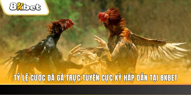 sao789 xổ số miền bắc chủ nhật