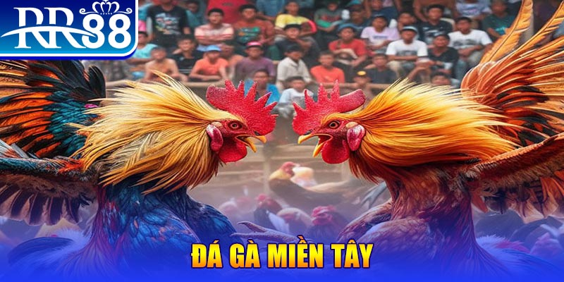 sao789 đăng nhập liêng đổi thưởng