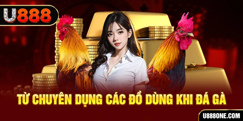 sao789 đăng nhập poker trực tiếp