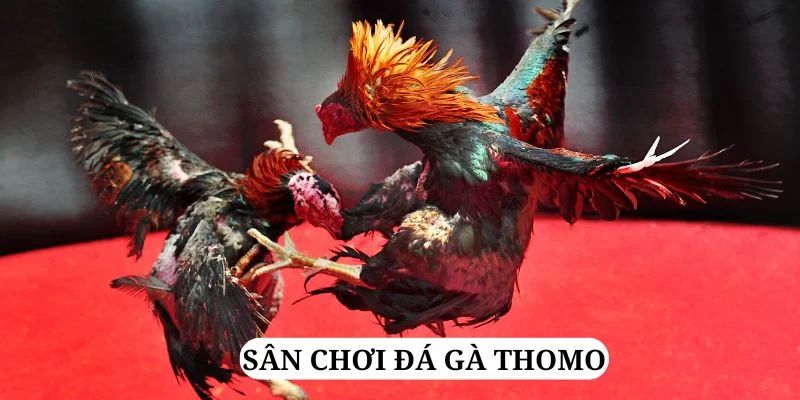 sao789 quay nổ hũ là gì