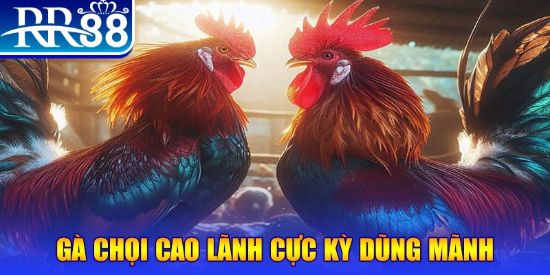 sao789 đăng nhập poker live